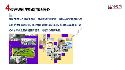 整合多元渠道，深化品牌影响力 中婴网互动营销主题活动策划案